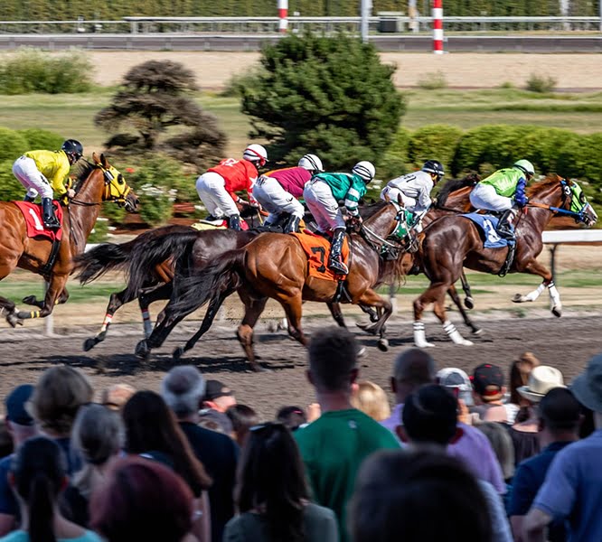 Kentucky Derby travel package