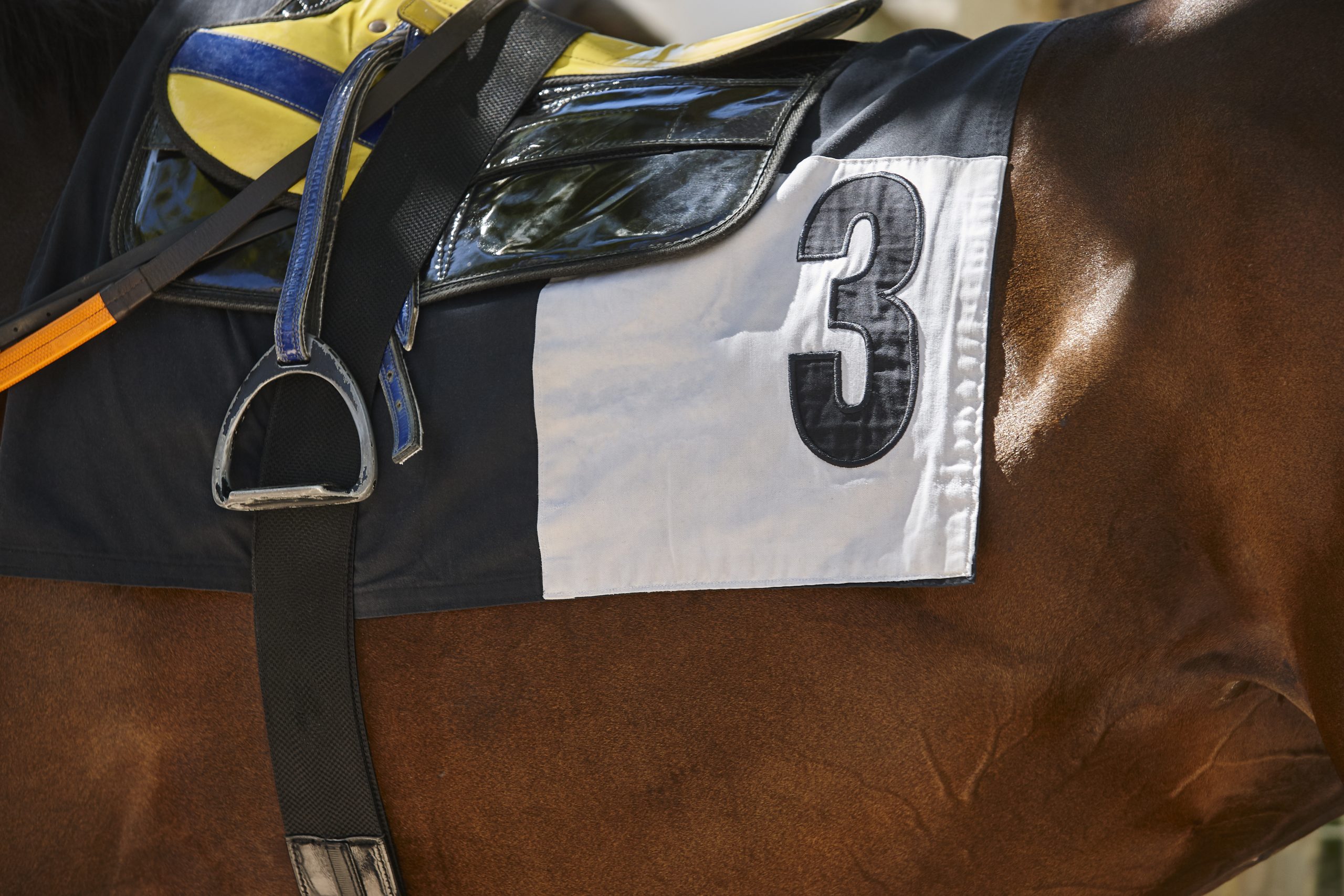 Preakness Stakes travel package