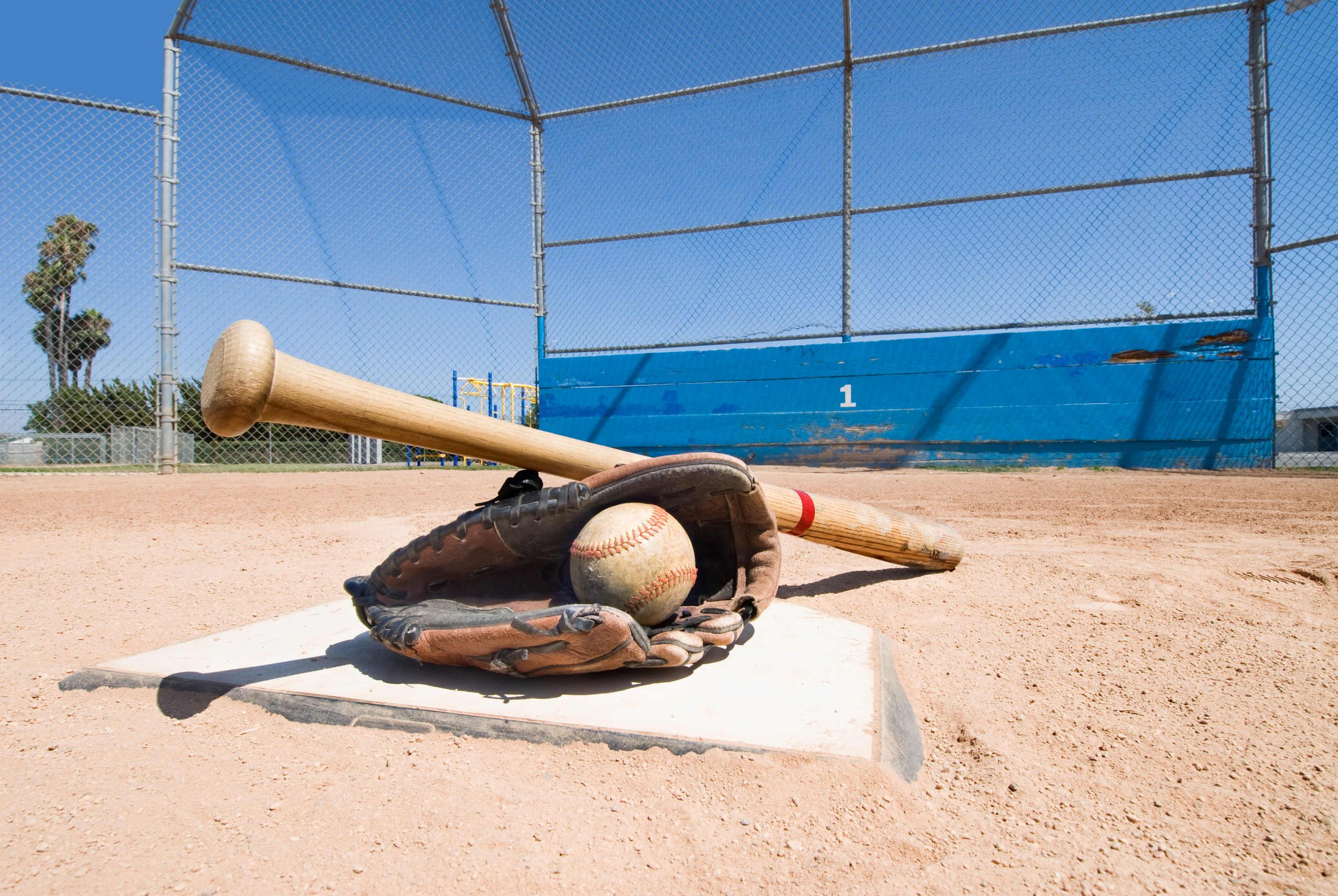 Baseball Travel Packages
