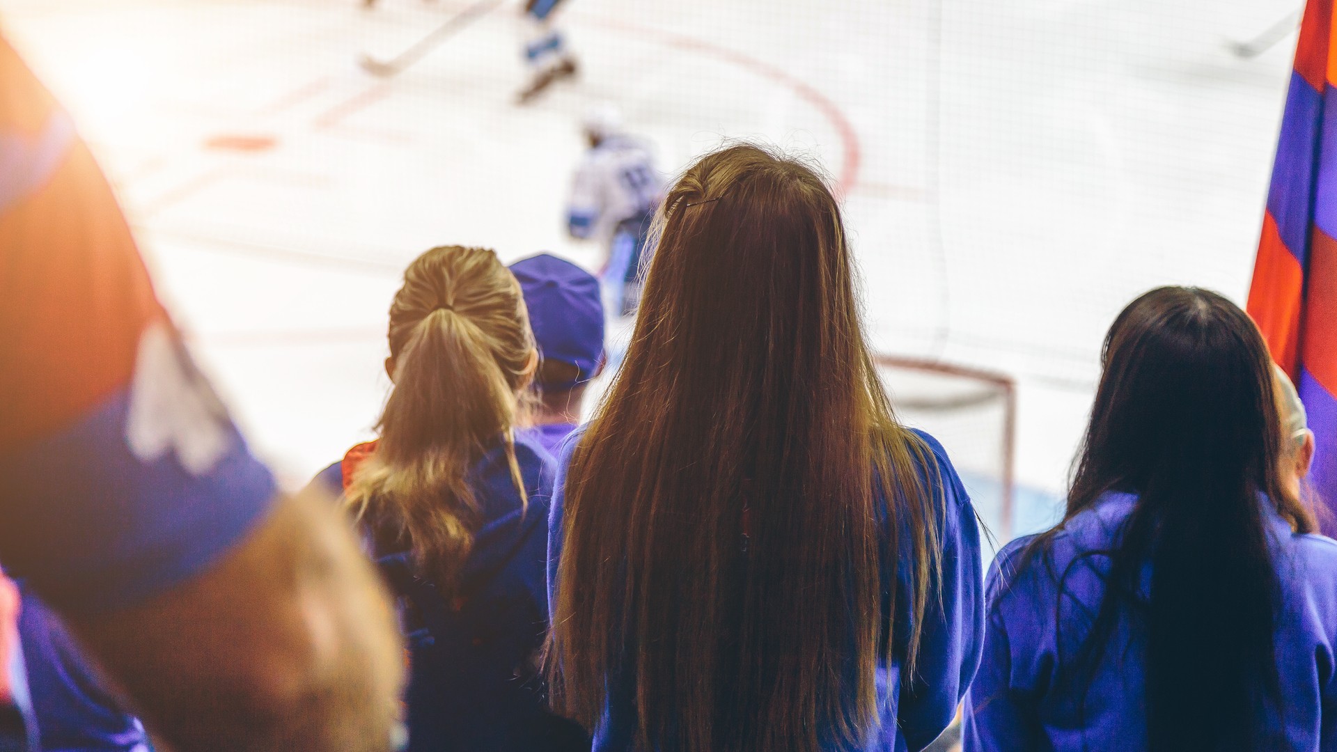 Hockey fans watching a match from arena seats