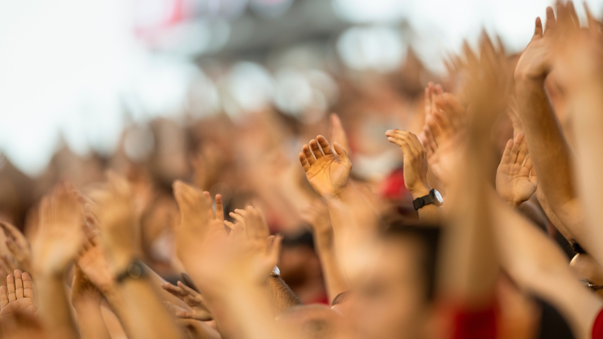 Fans cheering at a major sports event for a championship travel comparison
