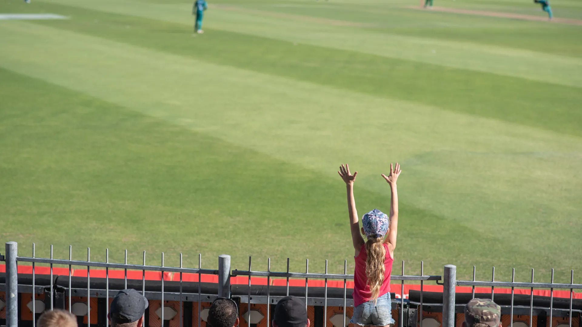 Young baseball fan watching an outdoor sporting event