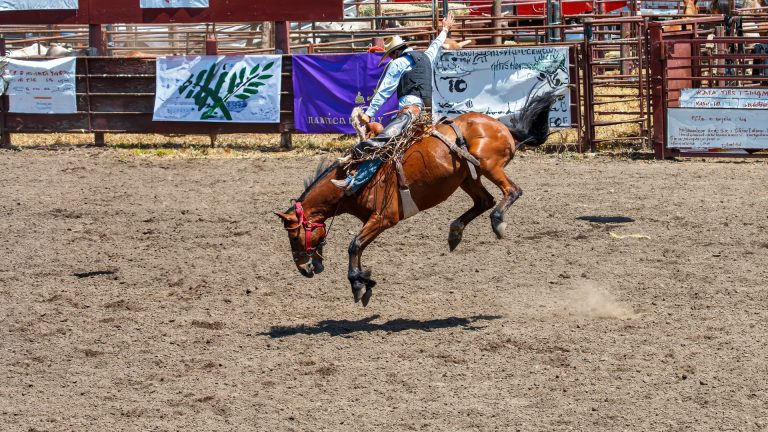Not Every Rodeo Is Worth the Flight