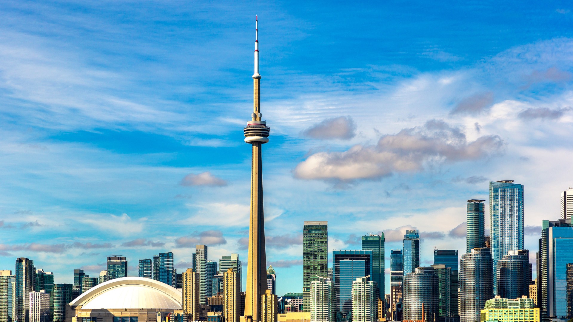 Why a Blue Jays Trip Needs a Passport