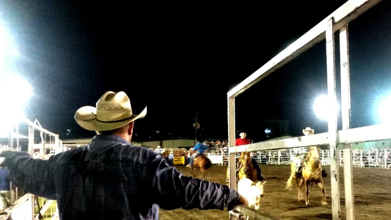NFR Schedule 2026: How Many of the Ten Nights Do You Need?